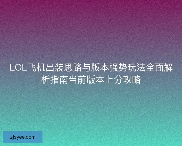 LOL飞机出装思路与版本强势玩法全面解析指南当前版本上分攻略